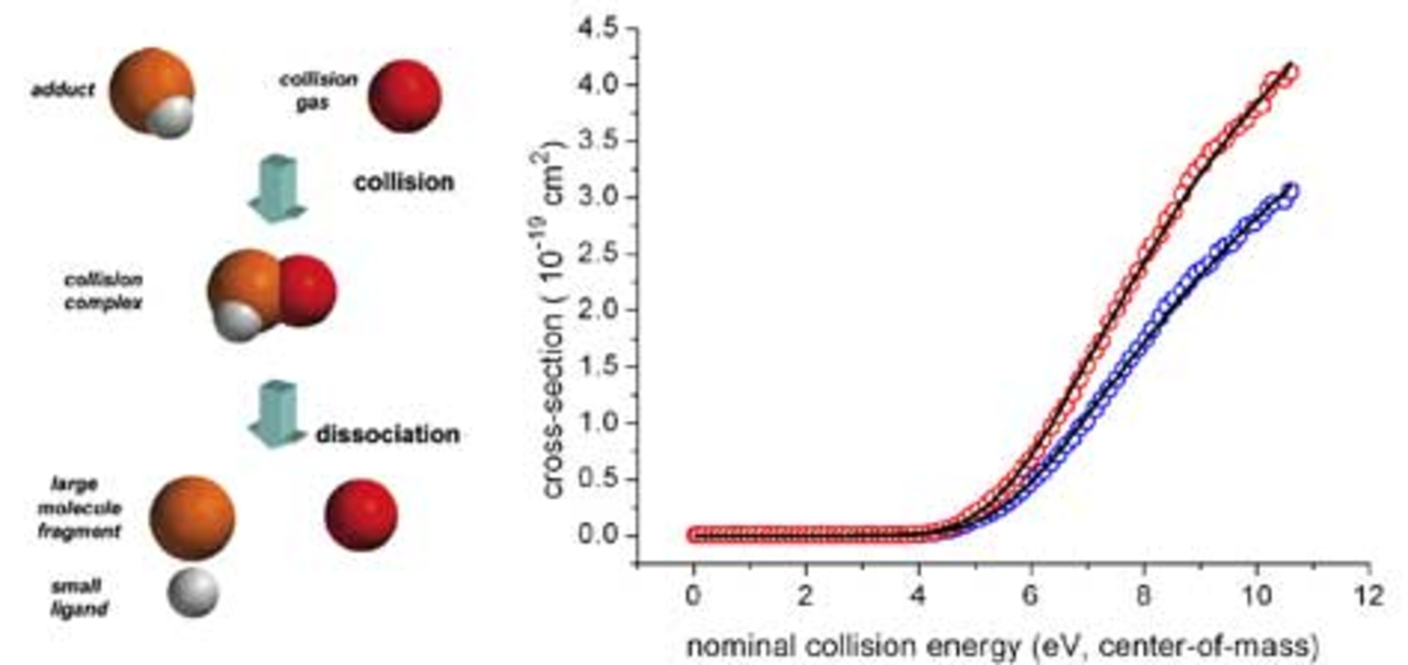 illustration of tcid experiment